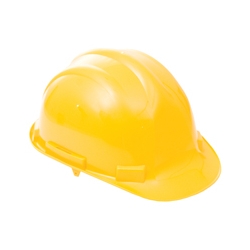 Health & Safety & Security