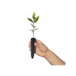Paper and the Environment