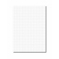 A4 Exercise Paper 10mm Squared Unpunched