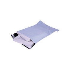 GoSecure Env xStrn Polt 240x320 Pk20