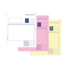 Sage Compatible Invoice 3-Pt Pk750 SE03  (^)